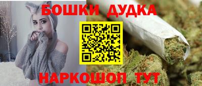 спиды Новозыбков