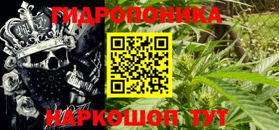 apvp Новодвинск