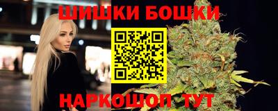 спиды Новозыбков