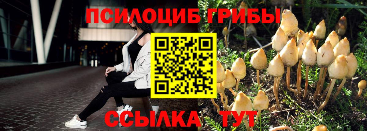 Самара  Галлюциногенные грибы прущие грибы  Вход с VPN  Галлюциногенные грибы Cubensis 
