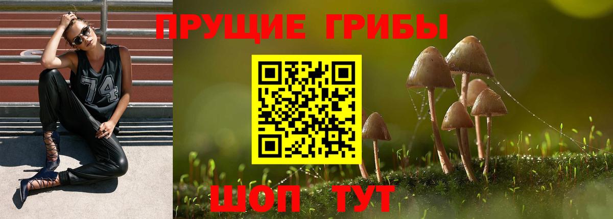 Псилоцибиновые грибы Magic Shrooms Самара